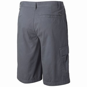 Columbia Red Bluff™ Cargo Short Herr MörkGrå (NBCAW3142)